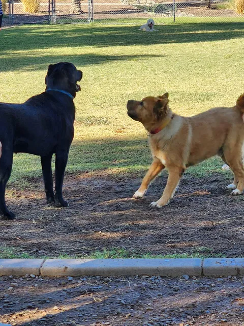 Gateway Dog Park