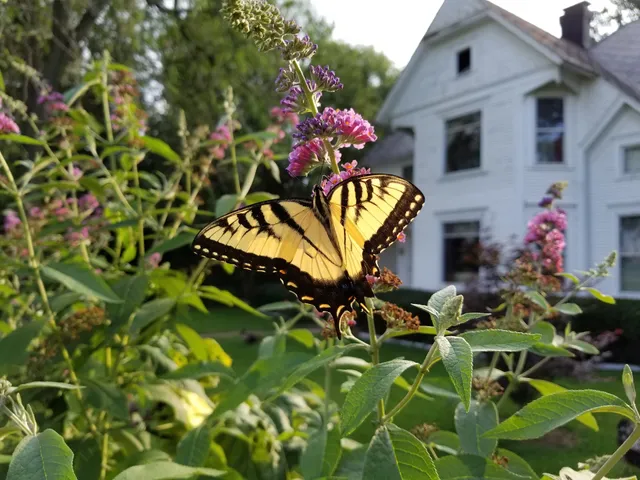 Fox River Bed and Breakfast