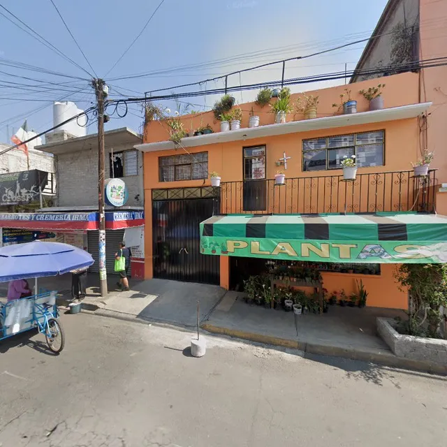 La pancita de Doña Leonor