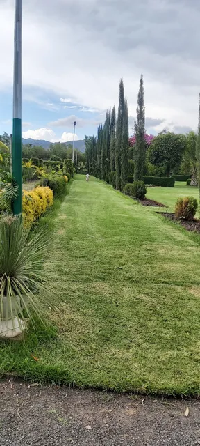 Green Mesk garden | Senait Menafesha