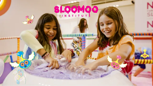 Sloomoo Institute - Chicago
