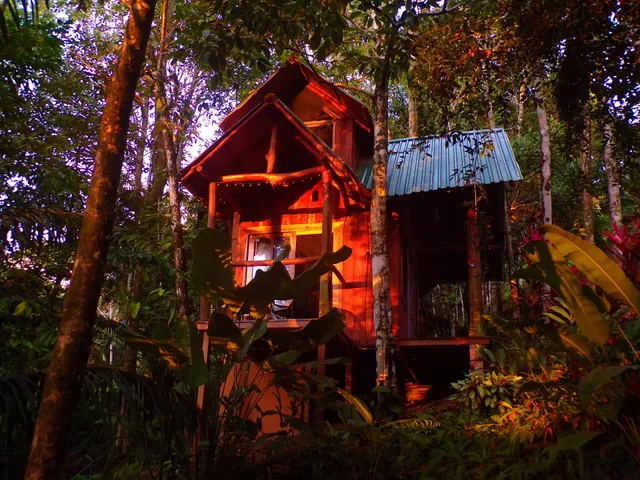 PurUvita Jungle Resort