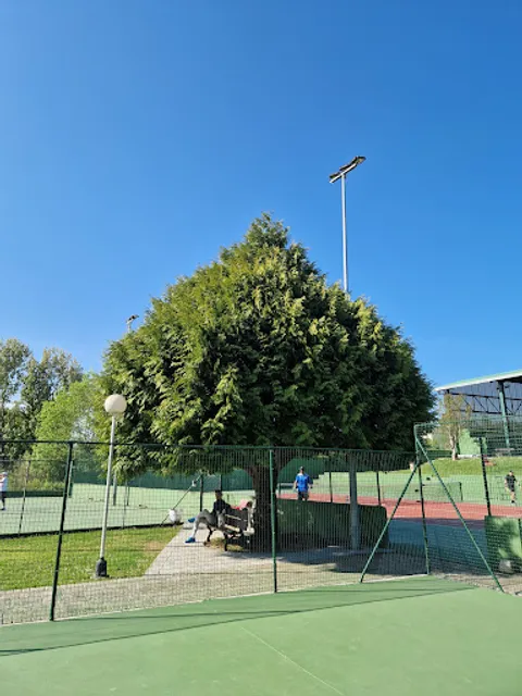 Club de Tenis de Redes