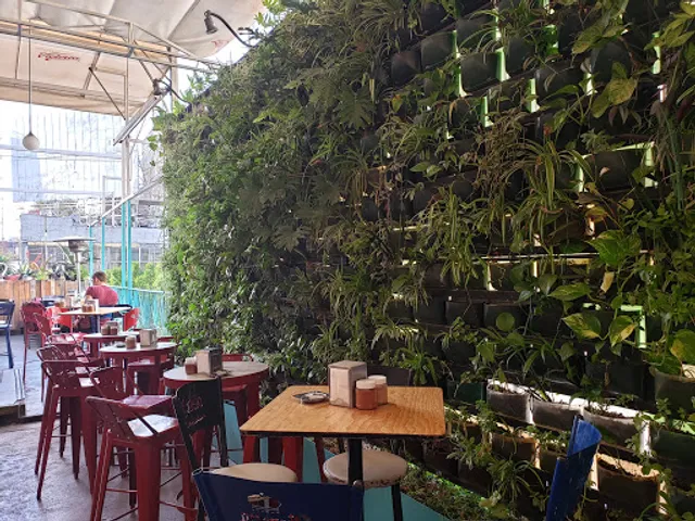 Pulqueria los Insurgentes