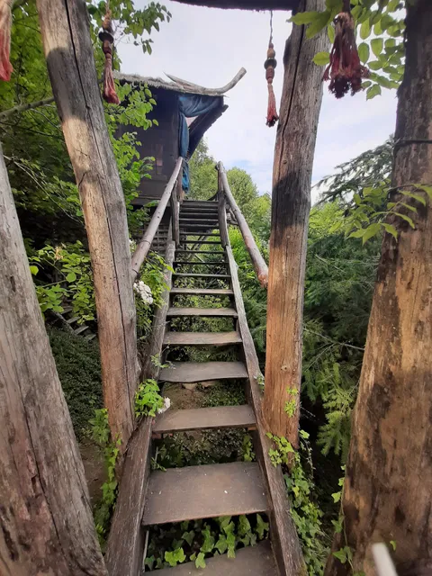 Le nid du dragon rouge