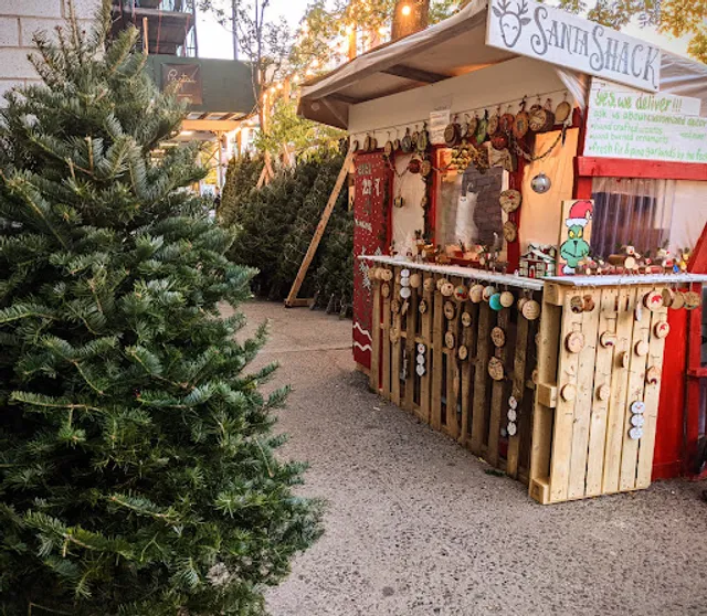 Santa Shack Christmas Trees