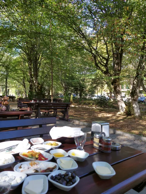 Abant Şömine Et Mangal Kahvaltı Evi