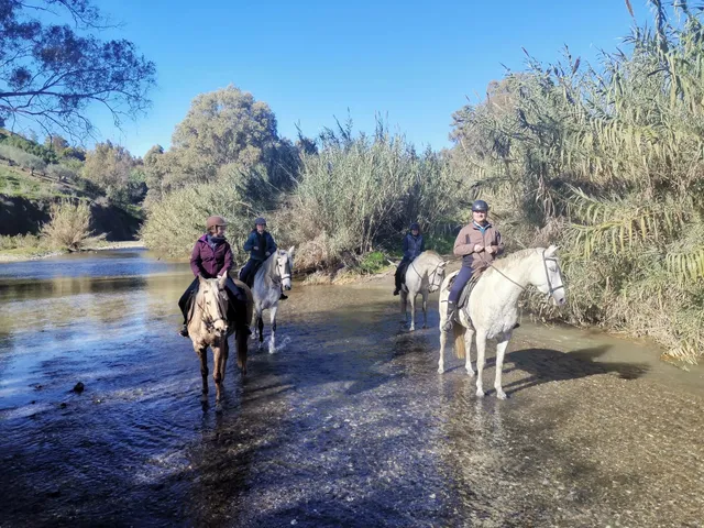 Horse Riding Spain