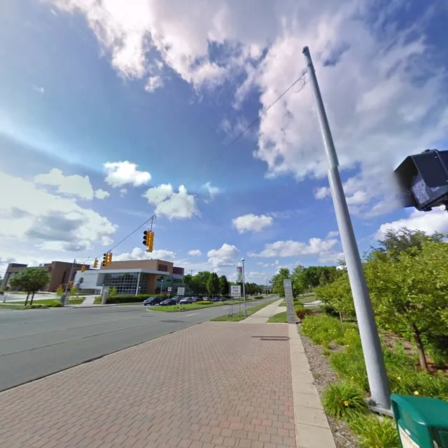 Ferris State University