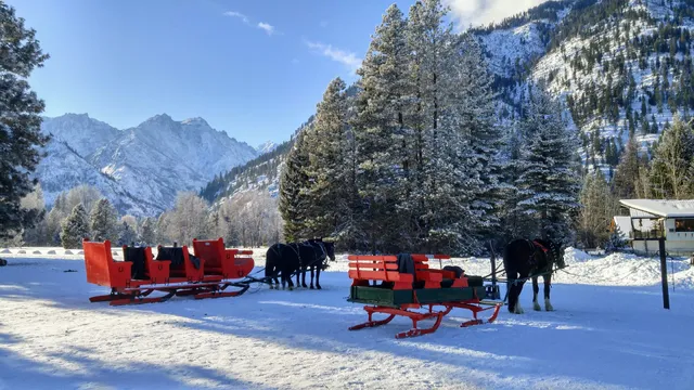 Icicle Outfitters & Guides