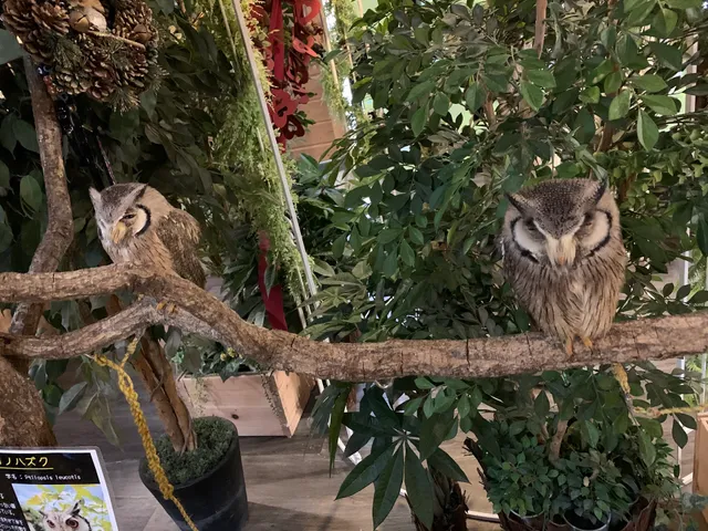 ふろっく 福時計