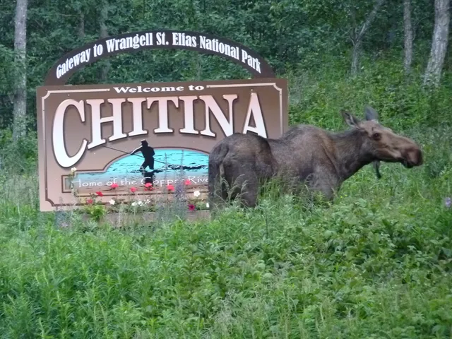 Chitina Guest Cabins