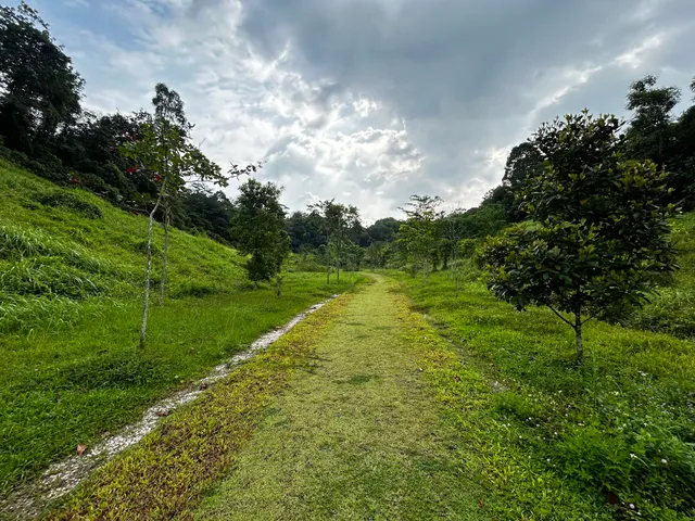 Clementi Nature Trail