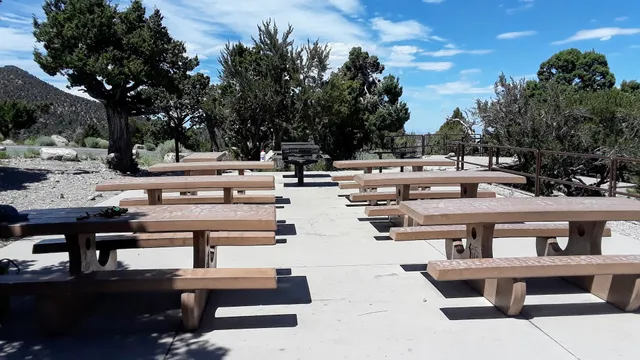 Mahogany Grove Group Campground