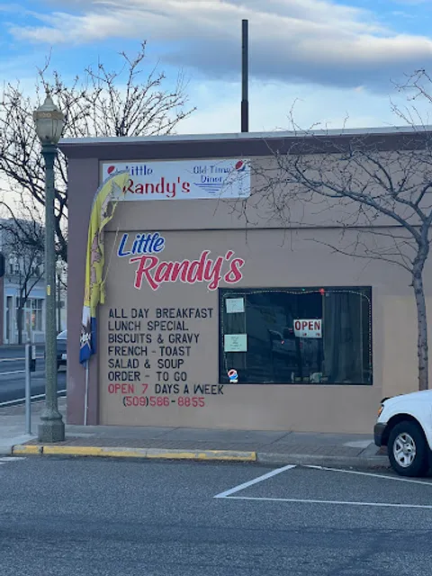 Little Randy's Diner