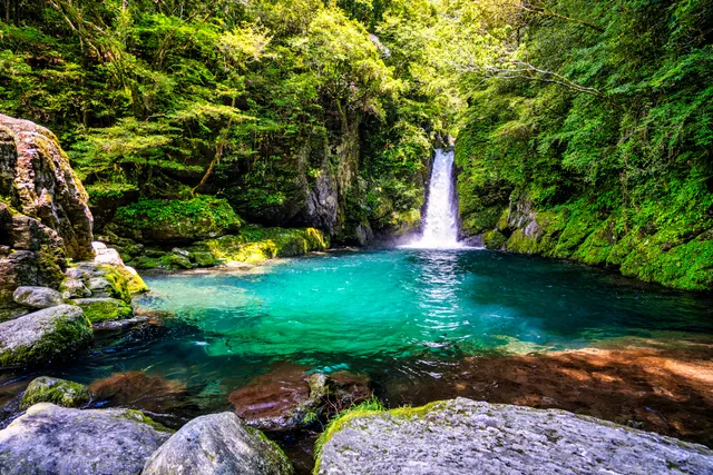 Niko Deep / Nikobuchi