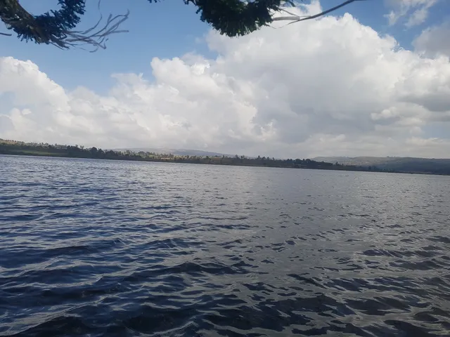 Haramya,East Harerge,Oromia,Ethiopia.