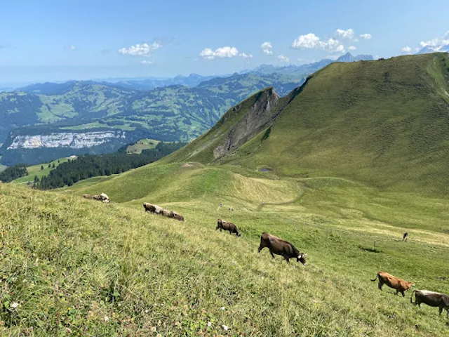 Klingenstock to Fronalpstock