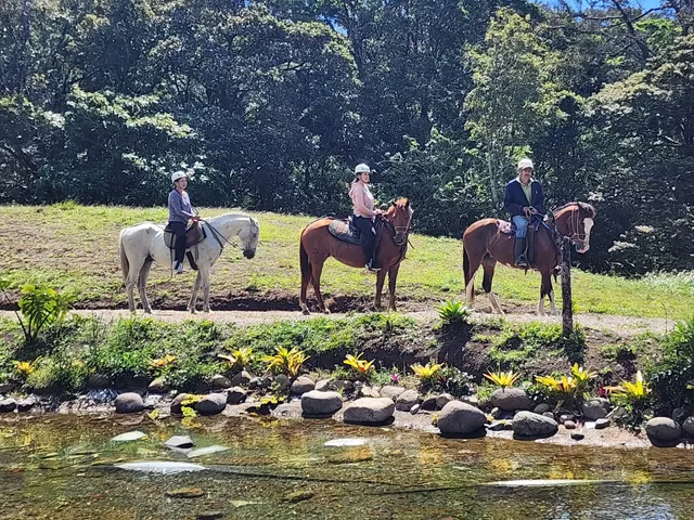 El Tesoro CR Monteverde