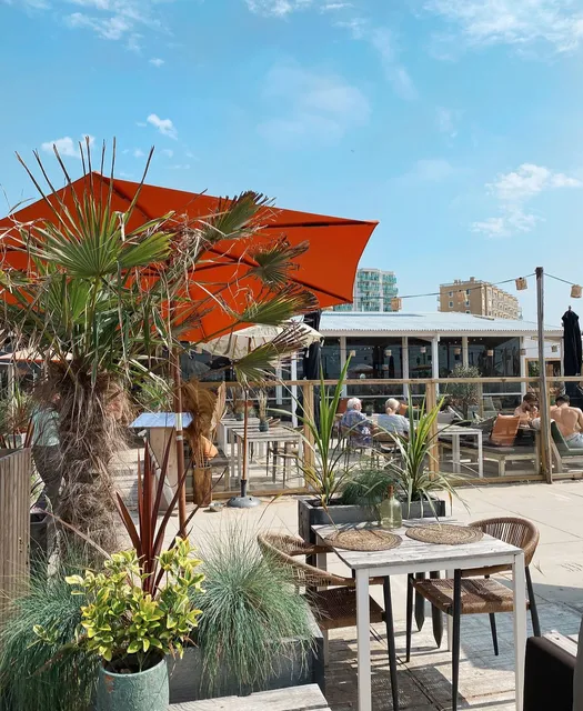 The Beach House by WOW