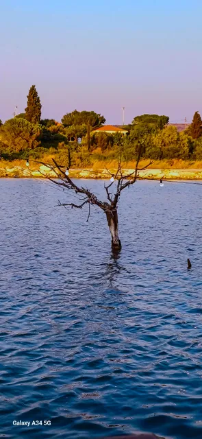 Irmak Restaurant Kahvaltı Evi