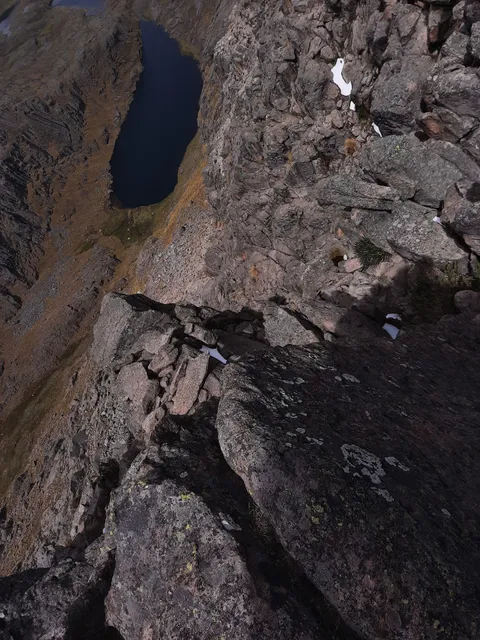 Hotel Bar Restaurant La Casa del Árbol (MUSEO EXPERIMENTAL)