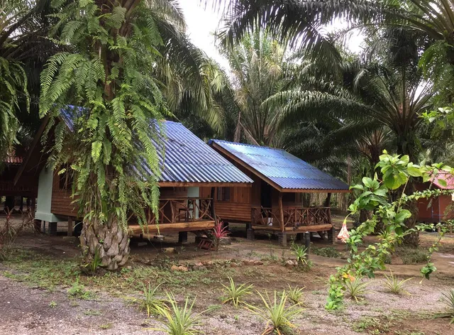 Khao Sok Palmview Resort