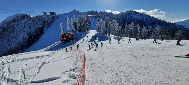 Postavarul Expres Gondola lift