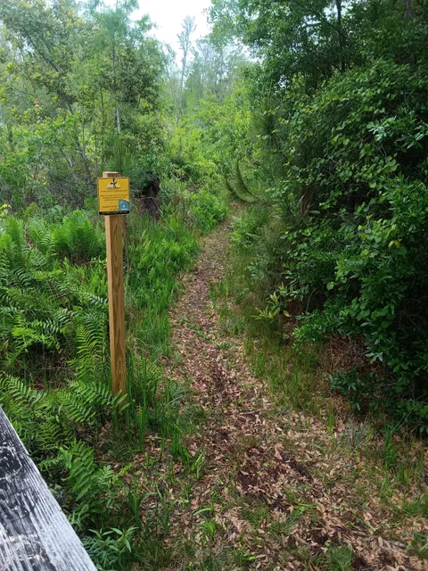 Audubon Nature Preserve Doctor's Pond Boardwalk