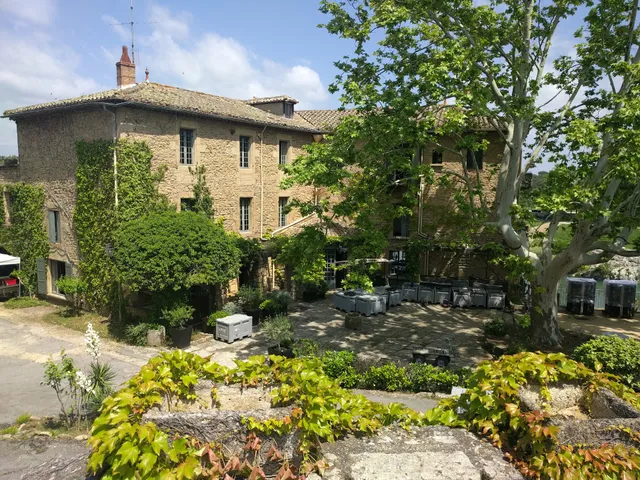 botanic® Saint Mitre