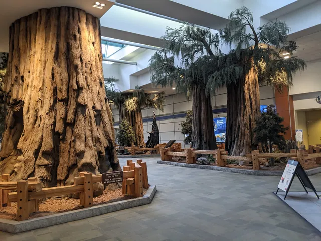 Fresno Yosemite International Airport Long Term Parking