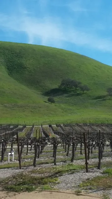 Pierce Ranch Vineyards