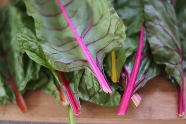 Northeast Georgia Locally Grown Gainesville