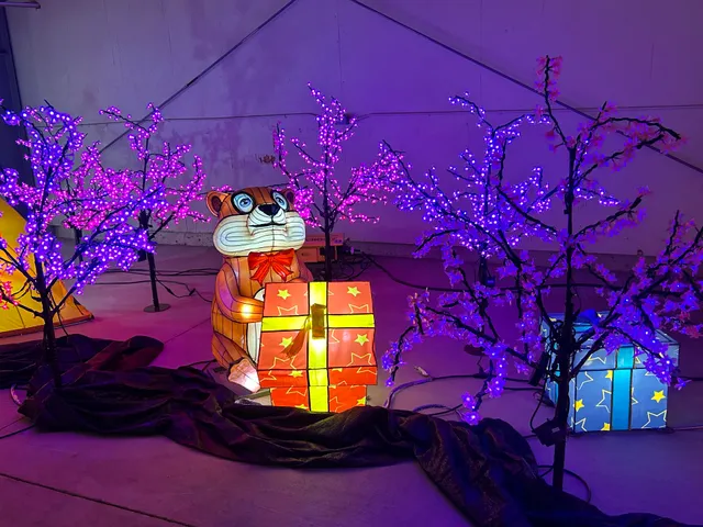 Northwest Winterfest