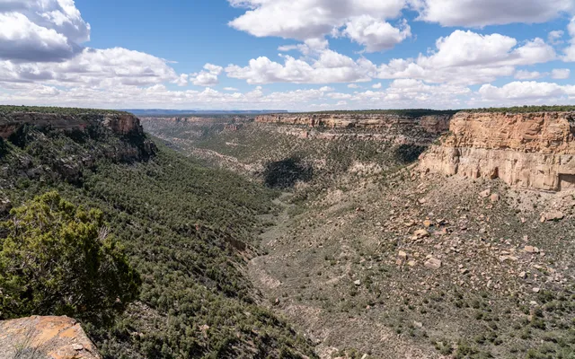 Navajo Canyon View