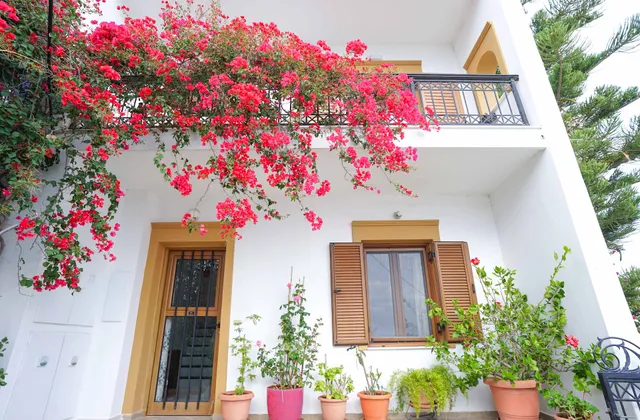 Fira Central Apartments with Veranda