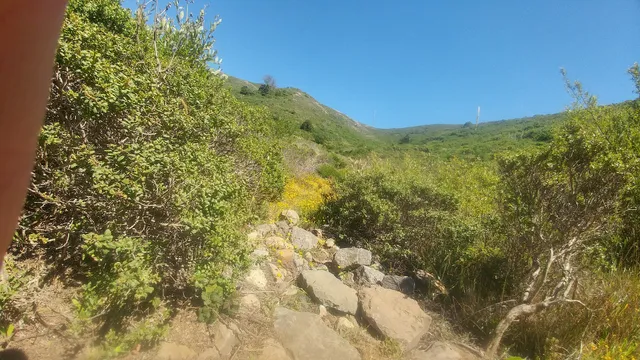 Ocean Riders of Marin