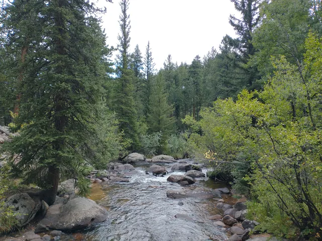 Tuxedo Park Picnic Area