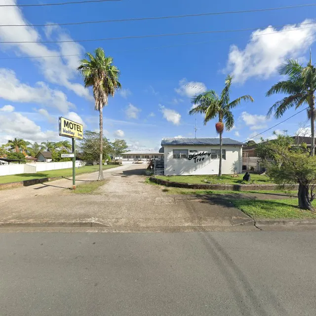 Blackboy Tree Motel