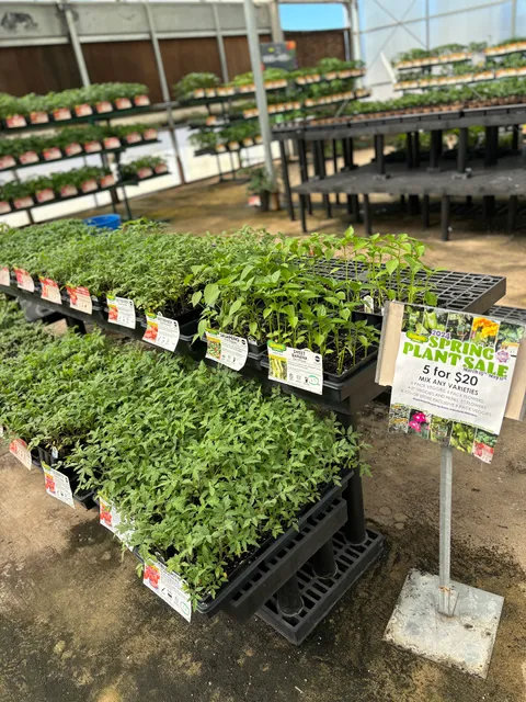 Tuscaloosa Farmers Co-op