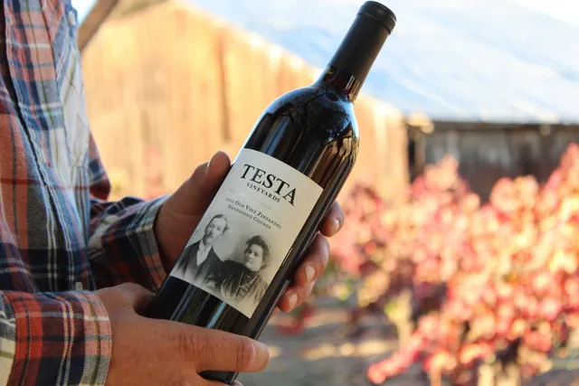 Testa Vineyards