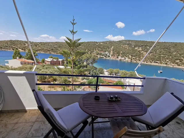 Falitsa's Porto Buffalo Studios