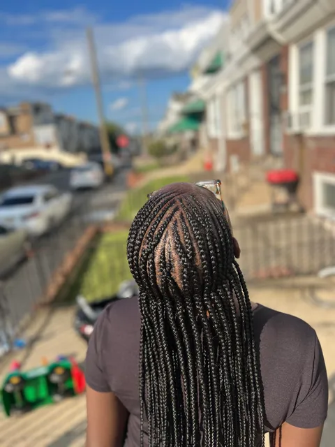 Braids by honey