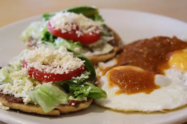 Tortas Locas Hipocampo