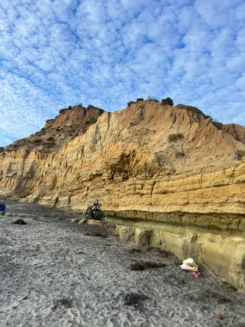 James G. Scripps Bluff Preserve Trail