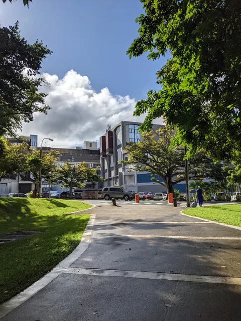 University of Puerto Rico, Medical Sciences Campus