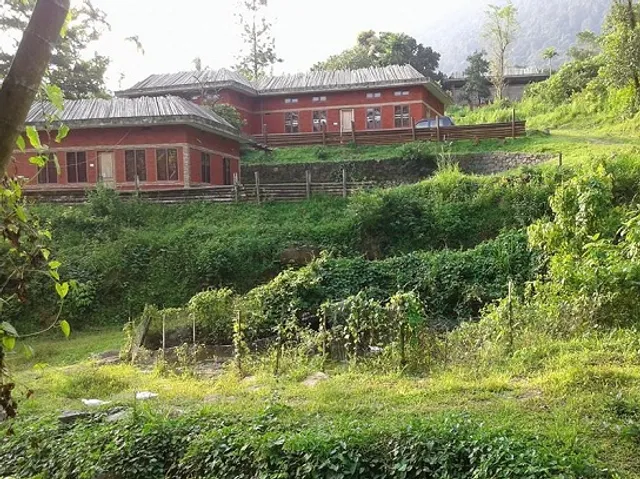 White Water Woods Farmstay