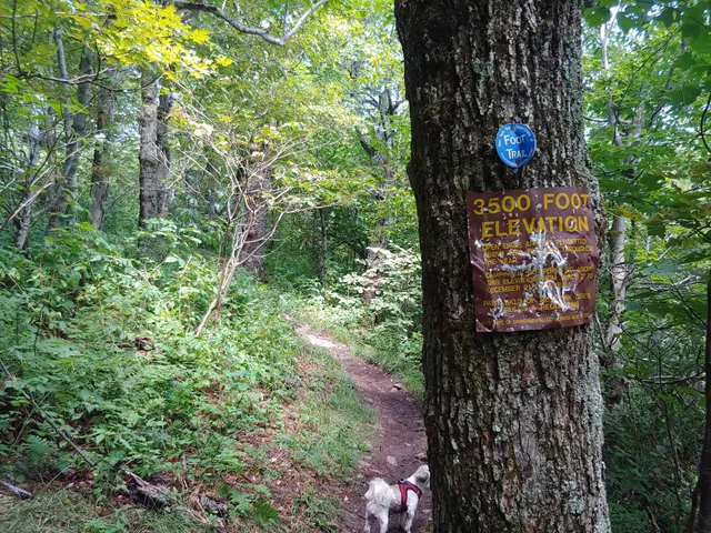 Windham High Peak Via Peck Road Trailhead