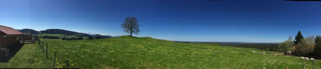 Ferienwohnungen am Kurpark