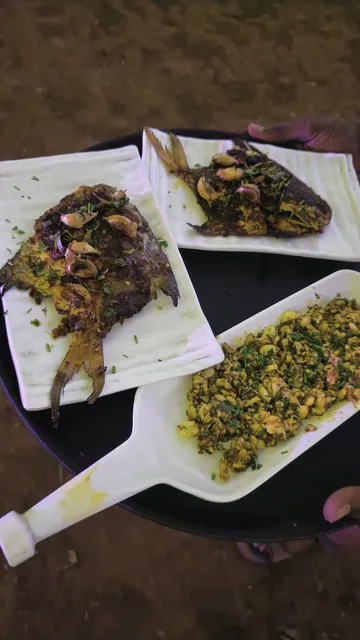 The Rain Forest Club